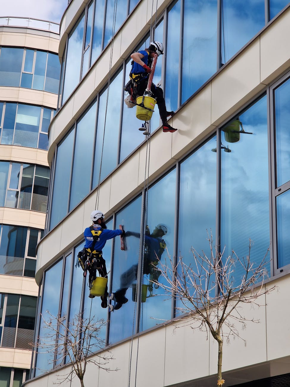 Two window cleaners using ropes on a modern skyscraper, showcasing urban professional maintenance.